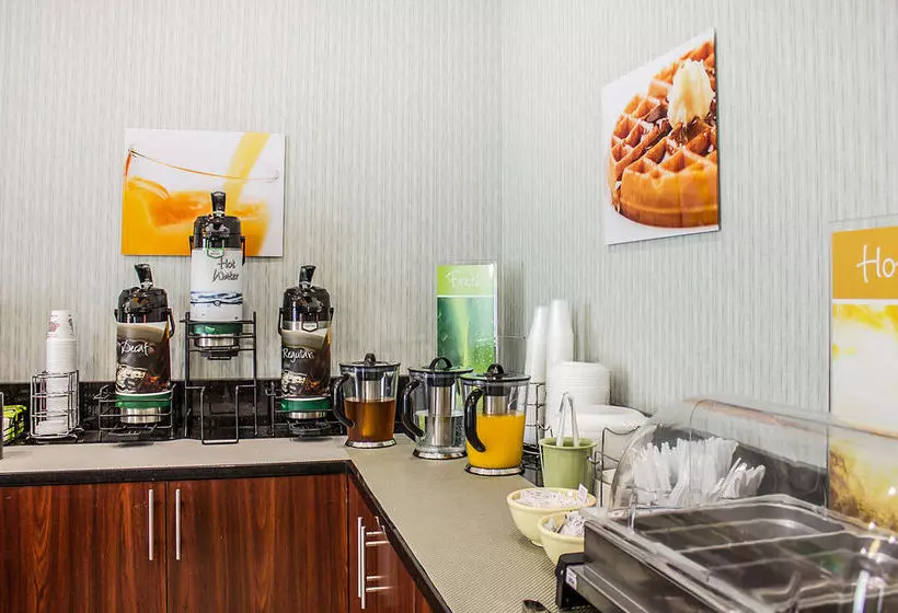 בית מלון כפרי Pitkin