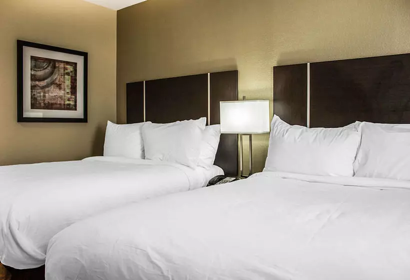 בית מלון כפרי Pitkin