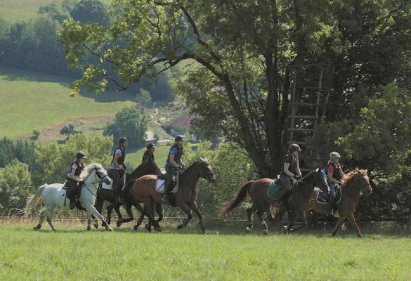 Отель Reiterhof Schober