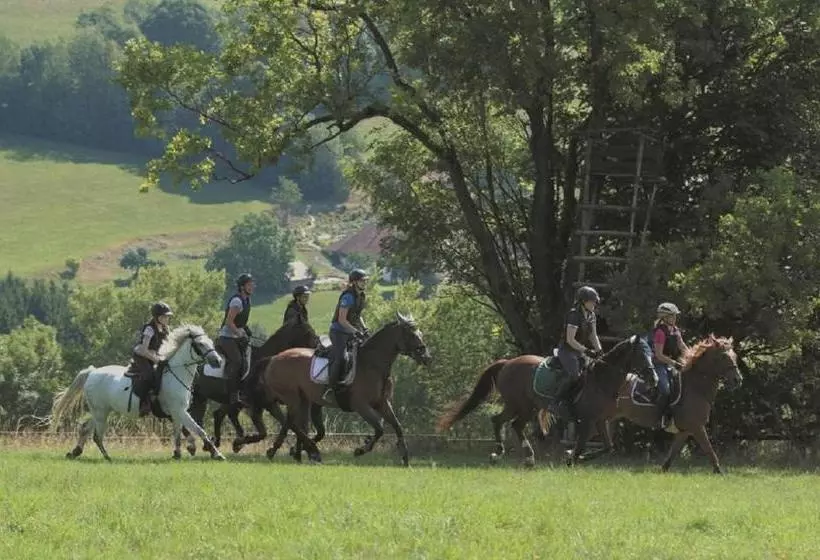 هتل Reiterhof Schober