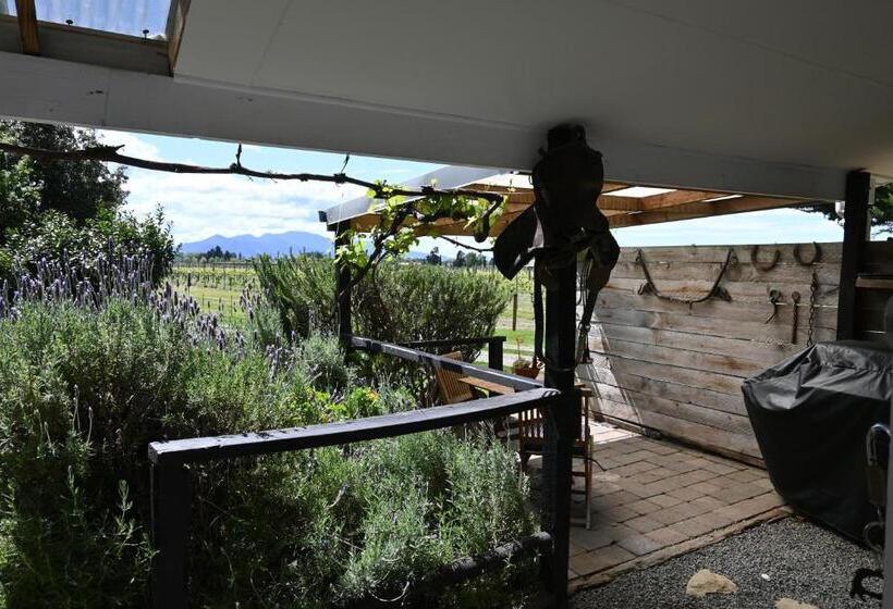 فندق St Leonards Vineyard Cottages