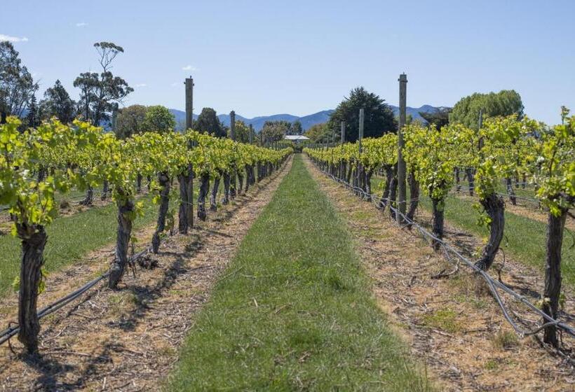 فندق St Leonards Vineyard Cottages