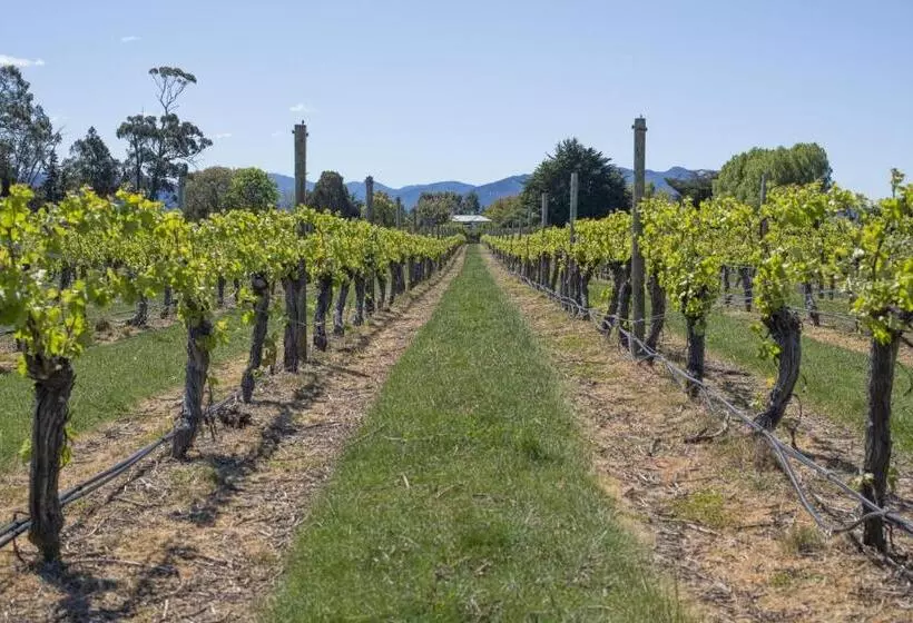 Otel St Leonards Vineyard Cottages