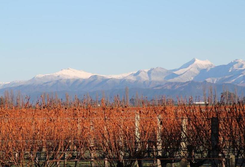 فندق St Leonards Vineyard Cottages