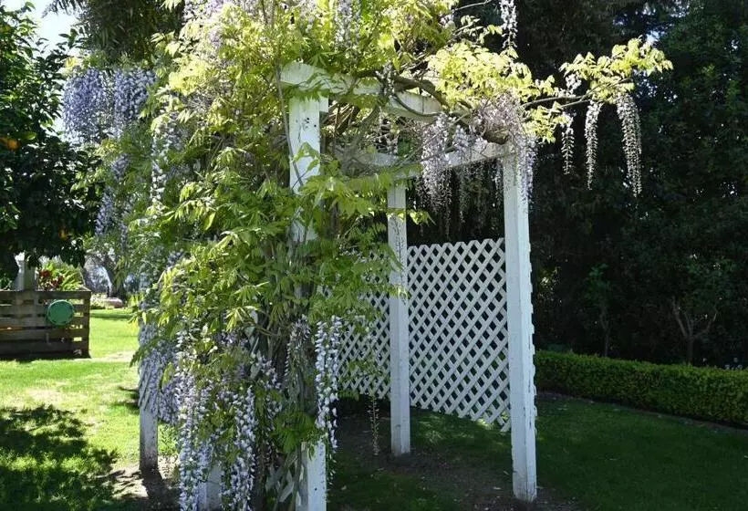 Otel St Leonards Vineyard Cottages