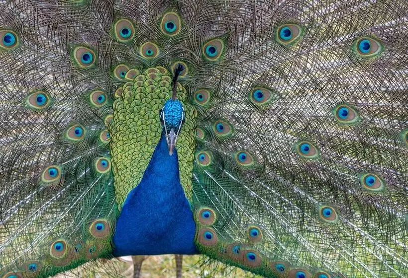 Отель The Hunters Inn