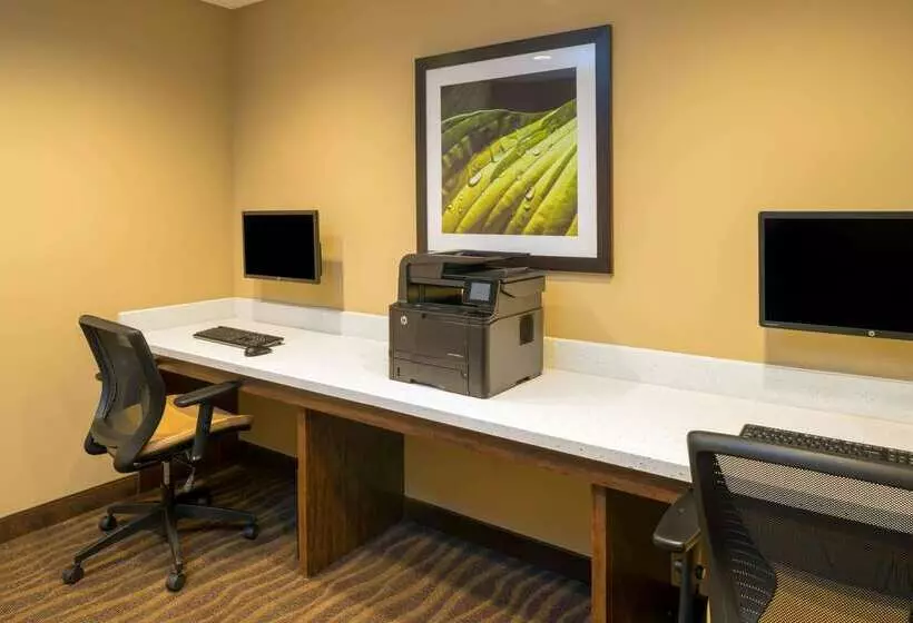 Microtel Inn & Suites By Wyndham Red Deer