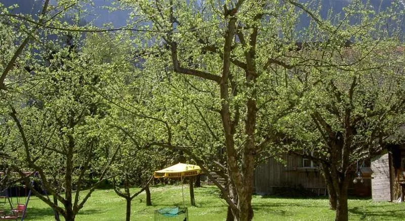 ペンション Der Siegeler B&b   This Lifestylehotel Rocks