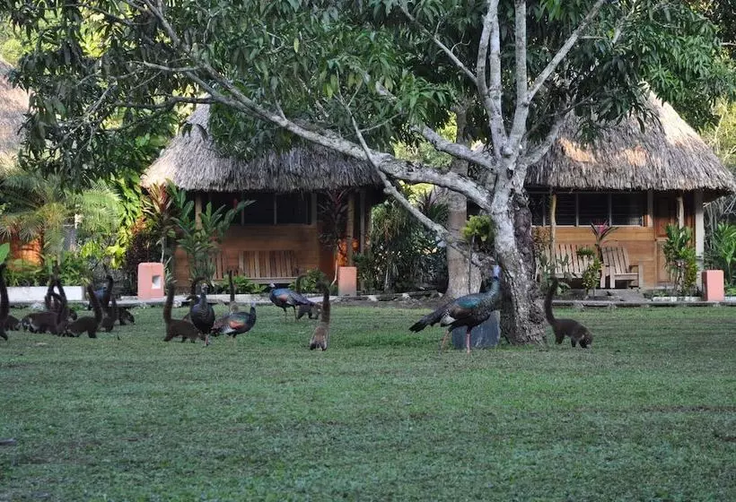 هتل Tikal Inn
