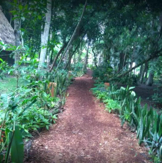 هتل Tikal Inn