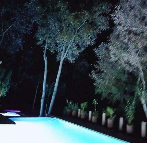 Bed and Breakfast Dar Blues