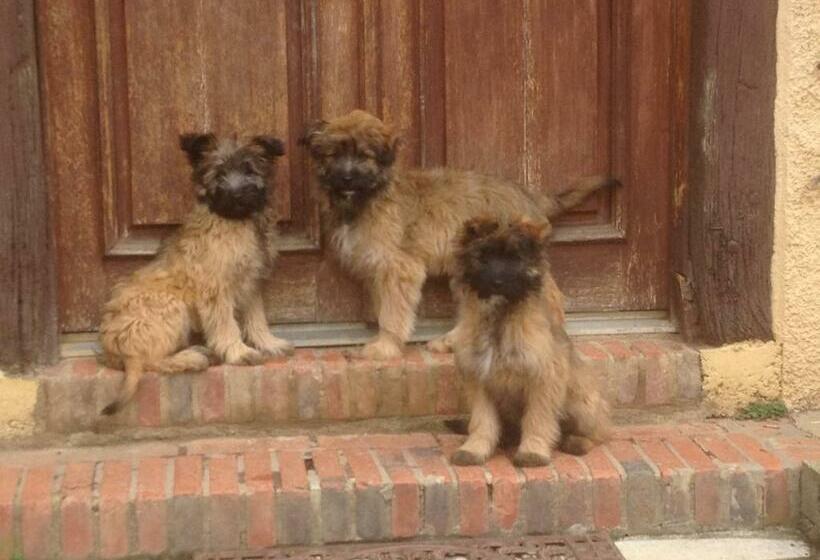 مبيت وإفطار Domaine Le Chec