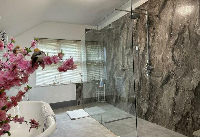 مبيت وإفطار The Hollies