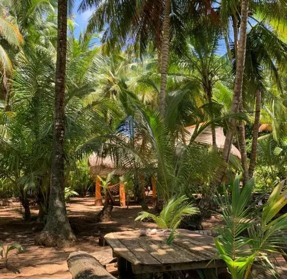 ホテル Ensueños Natural Reserve Little Corn Island Nicaragua