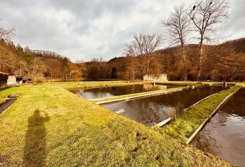 Hotelli | Restaurant | Forellenzucht