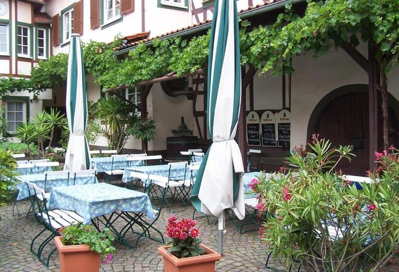 בית מלון כפרי Zum Engel In Speyer Römerberg