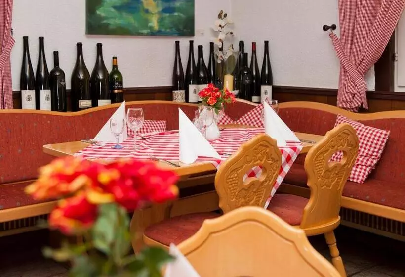 Hotelli Zum Engel In Speyer   Römerberg