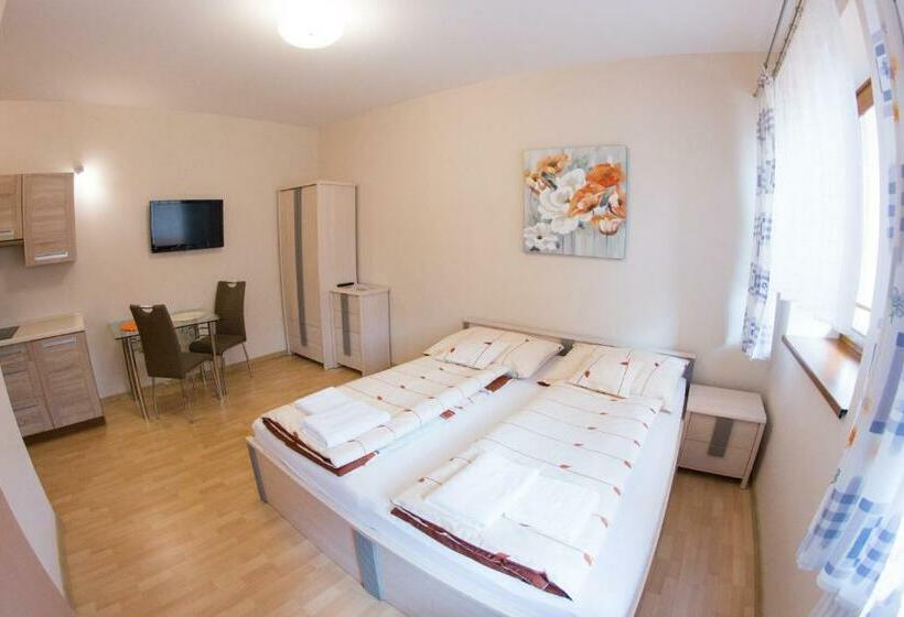 بنسيون Guest House Tri Koruny