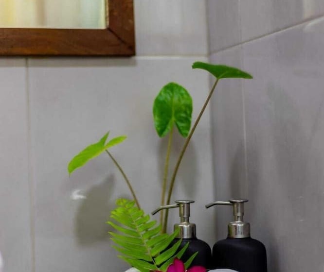 Pension Nihaali Maldives