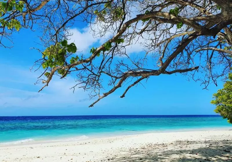 پانسیون Nihaali Maldives