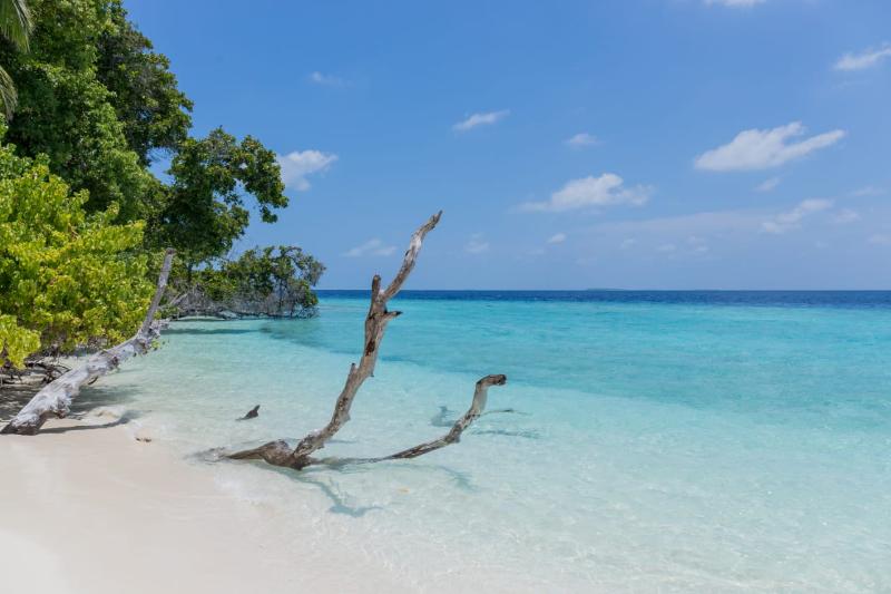 Pension Nihaali Maldives