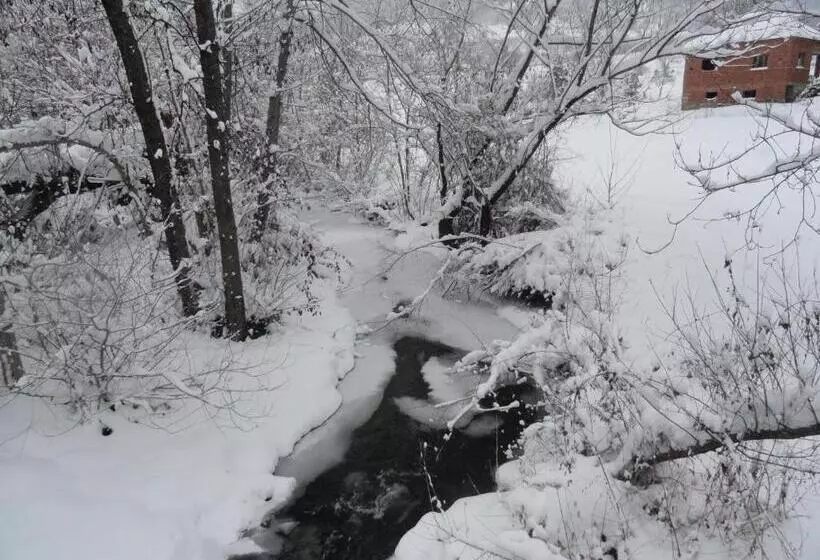 پانسیون Stara Planina Vila Vesela Kuca