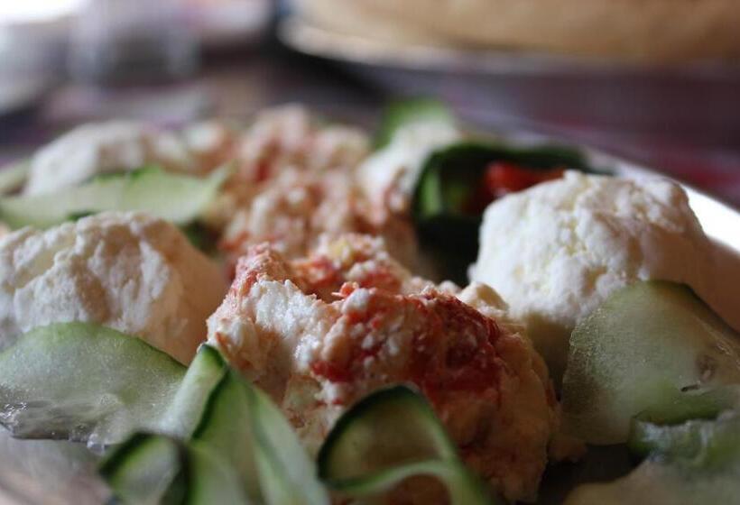 پانسیون Stara Planina Vila Vesela Kuca