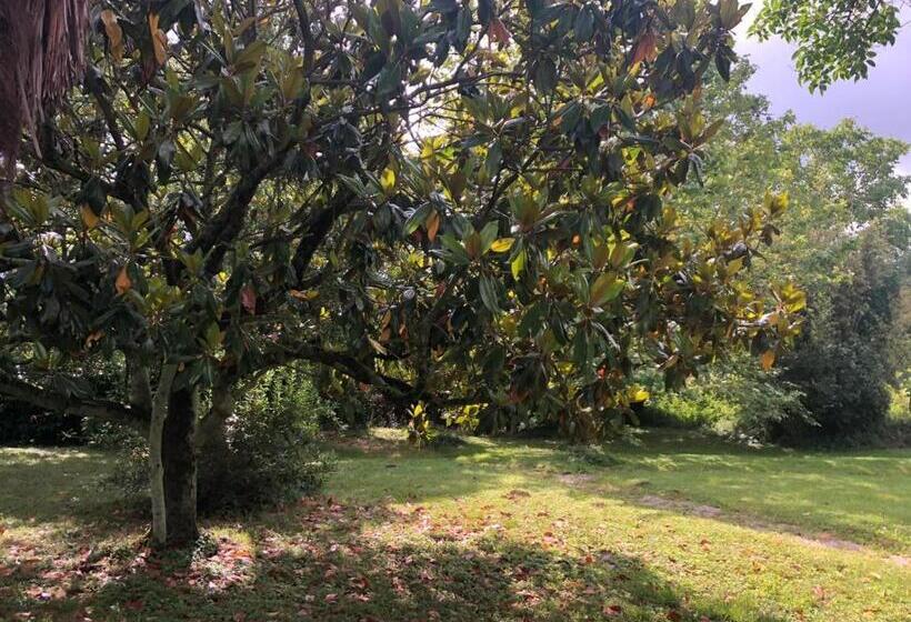 צימר Maison De Haouret