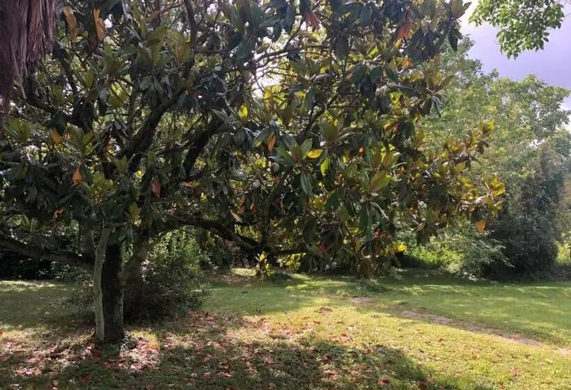 Aamiaismajoitus (B&B) Maison De Haouret