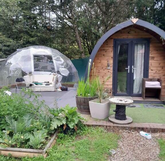 Bed and Breakfast South Lodge House