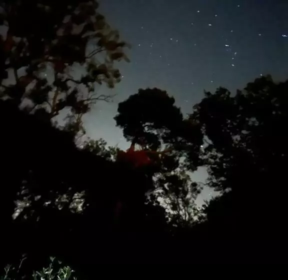 Aamiaismajoitus (B&B) South Lodge House