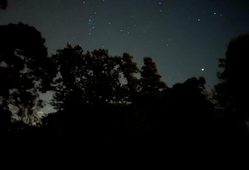 Bed and Breakfast South Lodge House