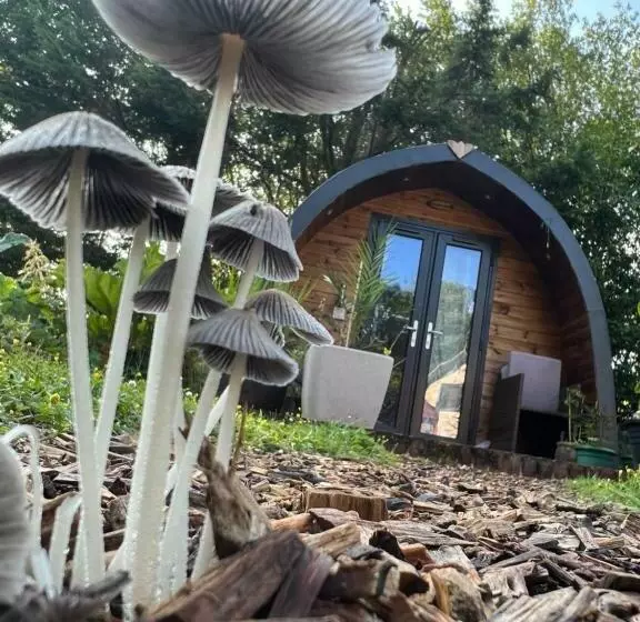 Aamiaismajoitus (B&B) South Lodge House