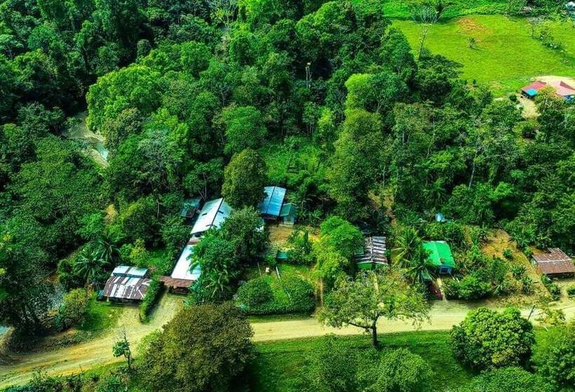 Corcovado Foundation Biohostel