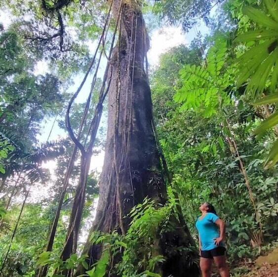 Corcovado Foundation Biohostel