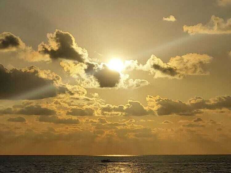 Corcovado Foundation Biohostel