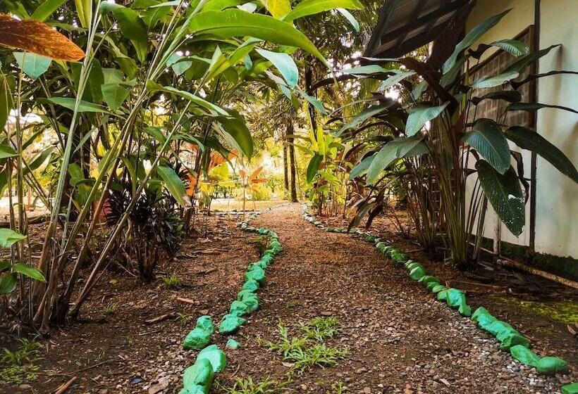 Corcovado Foundation Biohostel