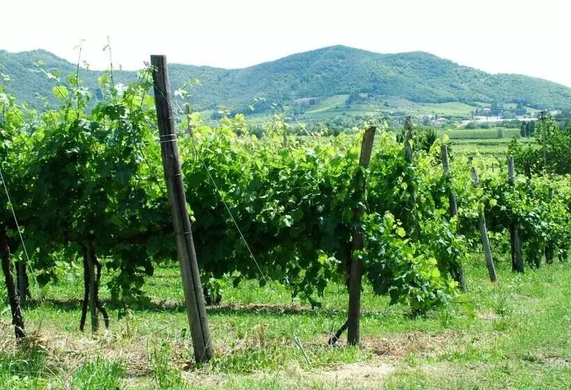 ホテル Agriturismo La Scuderia