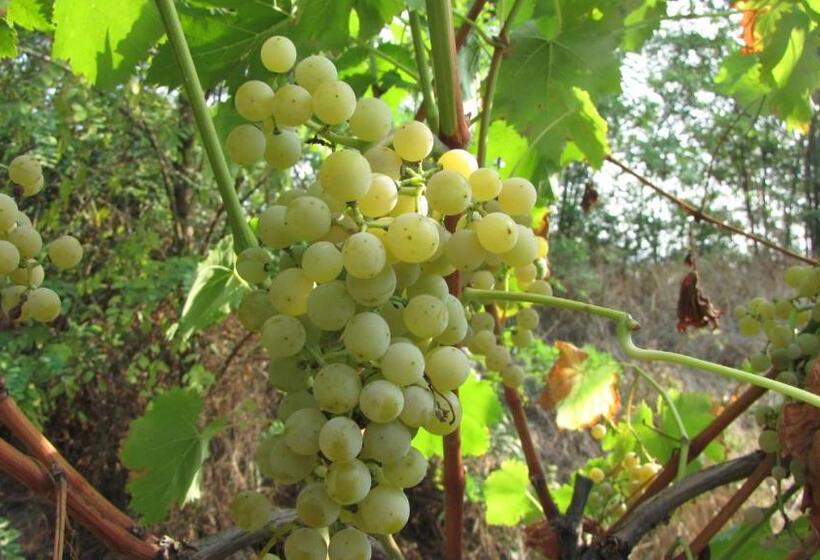 فندق Agriturismo La Scuderia