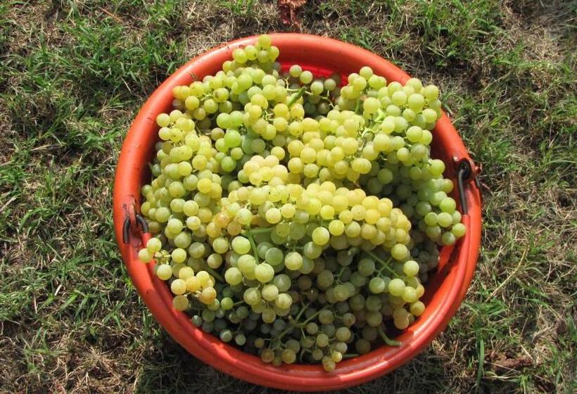 فندق Agriturismo La Scuderia