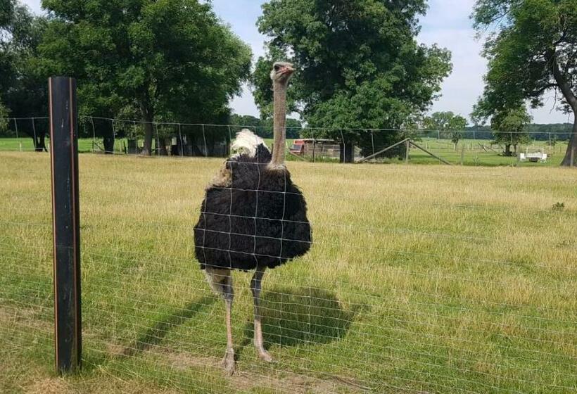 فندق Gutshaus Pinnow