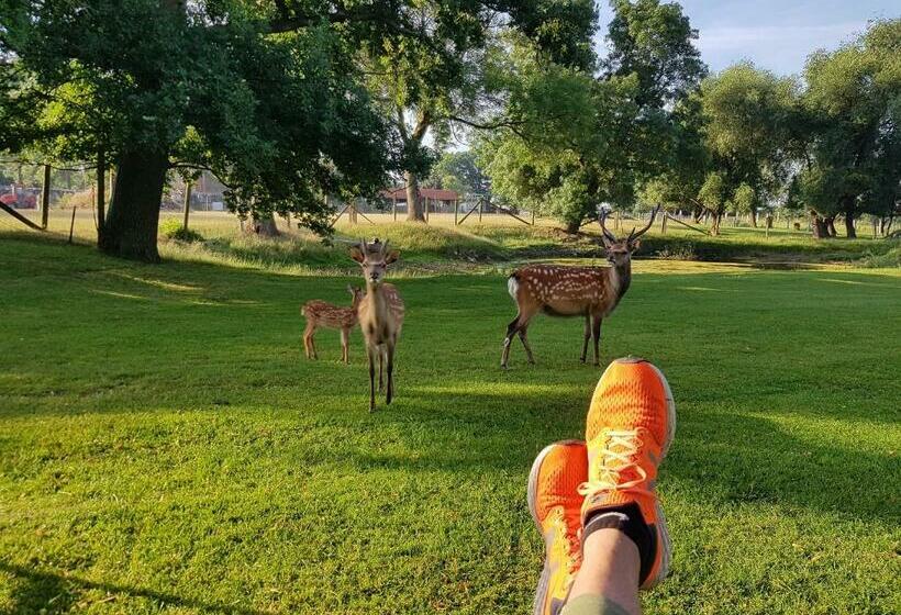 فندق Gutshaus Pinnow