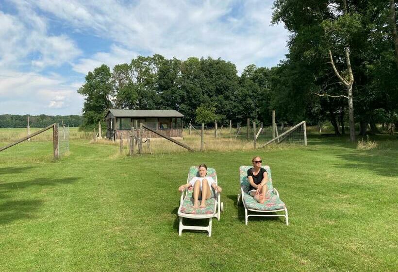 فندق Gutshaus Pinnow