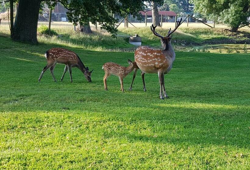 فندق Gutshaus Pinnow