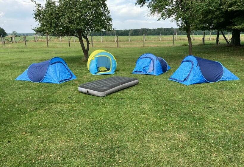 فندق Gutshaus Pinnow