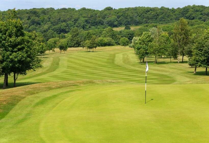 汽车旅馆  Tall Pines Lodges