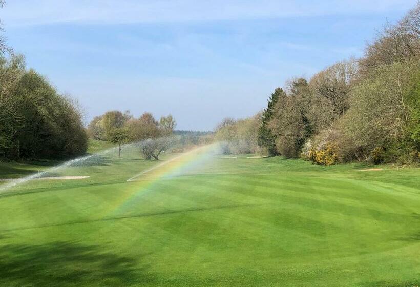 汽车旅馆  Tall Pines Lodges