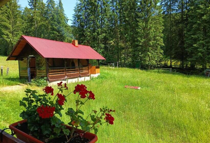 Pensjonat Cabana Colț De Rai