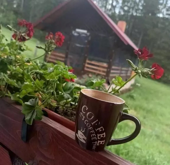 ペンション Cabana Colț De Rai