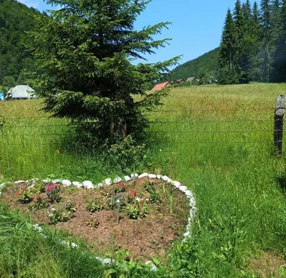 ペンション Cabana Colț De Rai